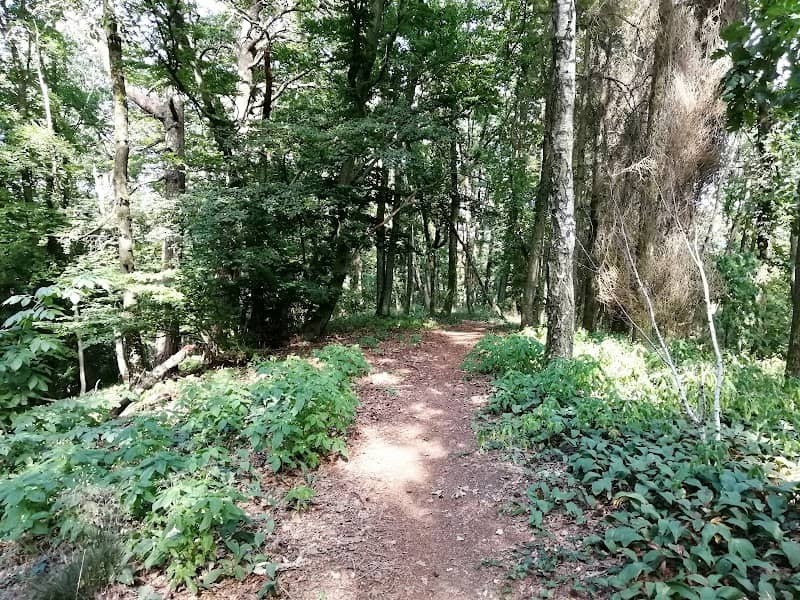Schießberg (421m) - Image 1