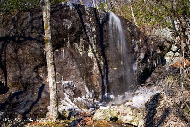 Graylyn Falls - Image 1