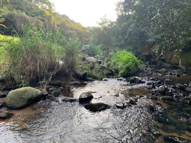 Palmiet Nature Reserve - Image 1