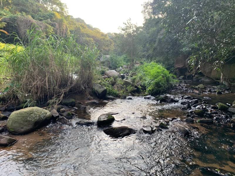 Palmiet Nature Reserve - Image 1