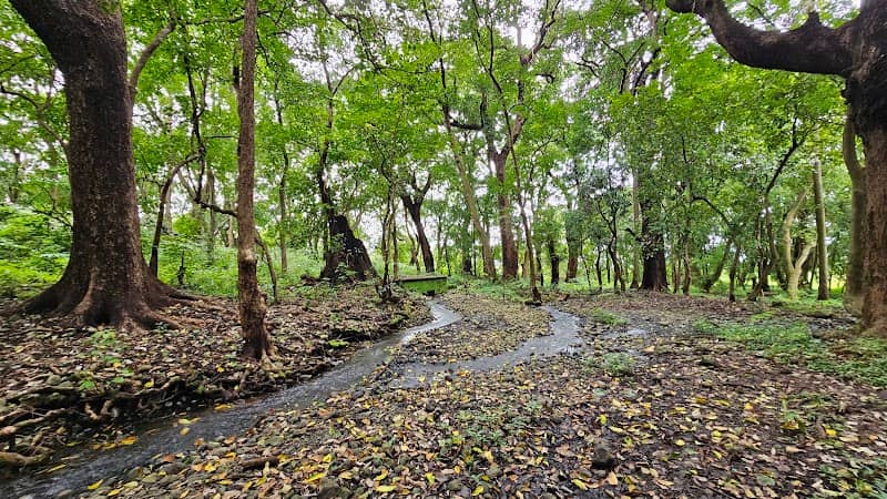 Pal Devrai - Image 1
