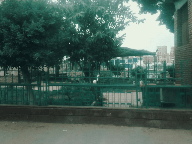 حديقة صباح الخير يا مصر - Image 1