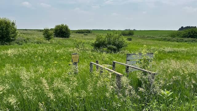Lageschulte Prairie - Image 1