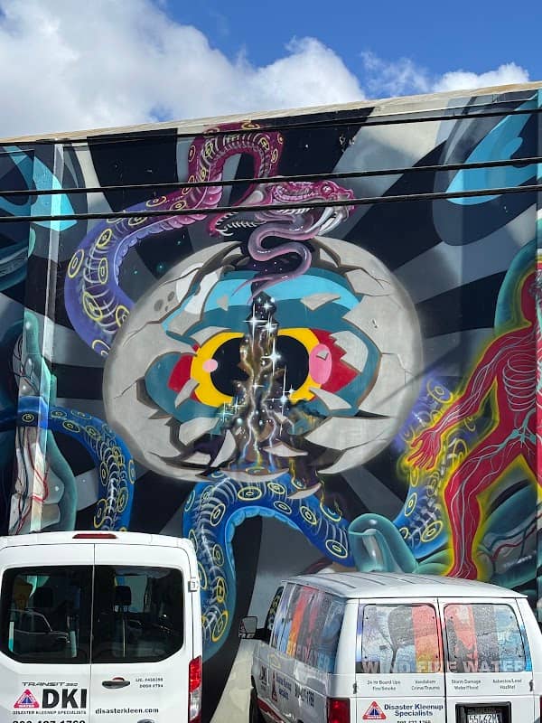 The Birth Of A Dimension Mural - Image 2
