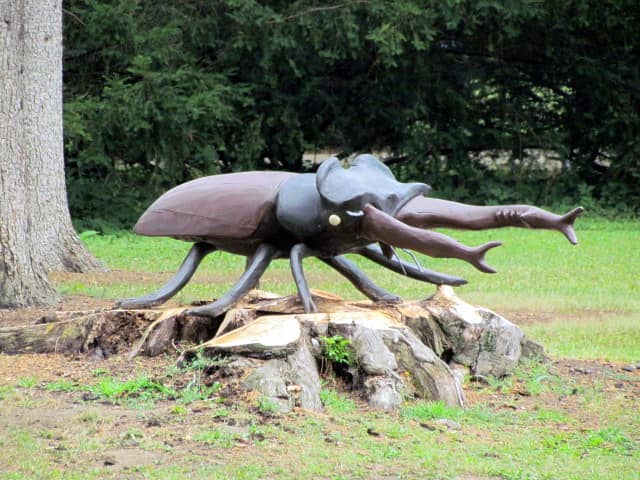 Chateau park - Image 1