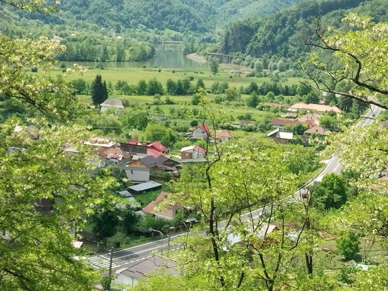 Poiana Zapodia - Image 1