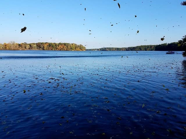 Lake Allegan - Image 1