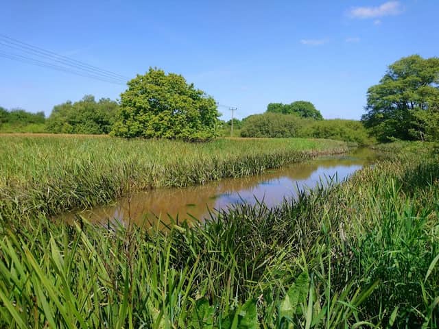 Wildgrounds Nature Reserve - Image 2