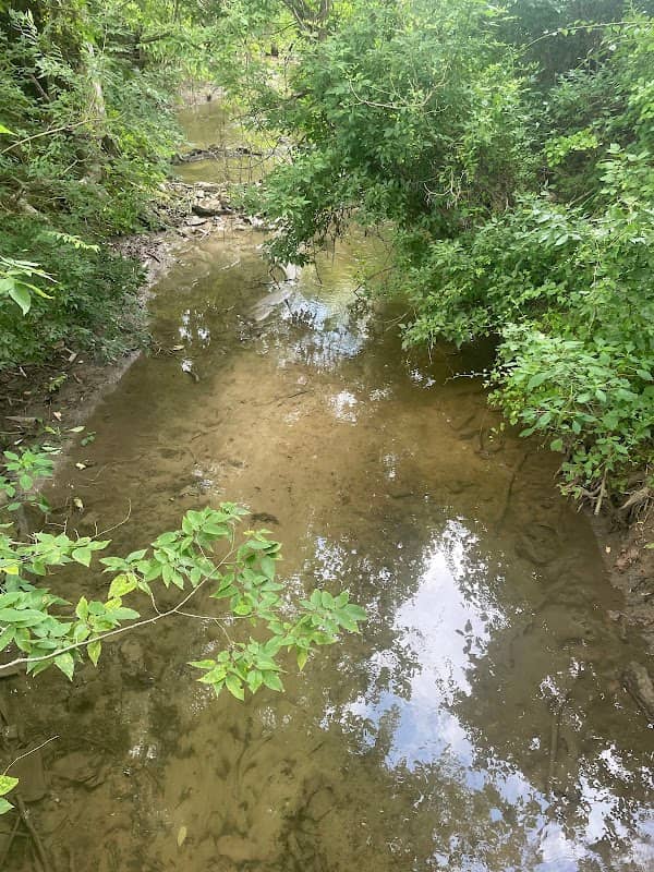 Willingham Knolls Park - Image 2