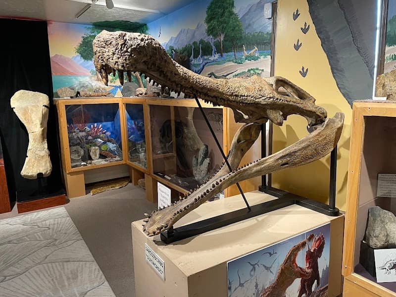 Hutchings Museum - Image 1