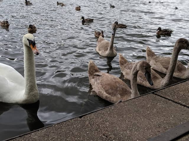 Codnor Park - Image 1