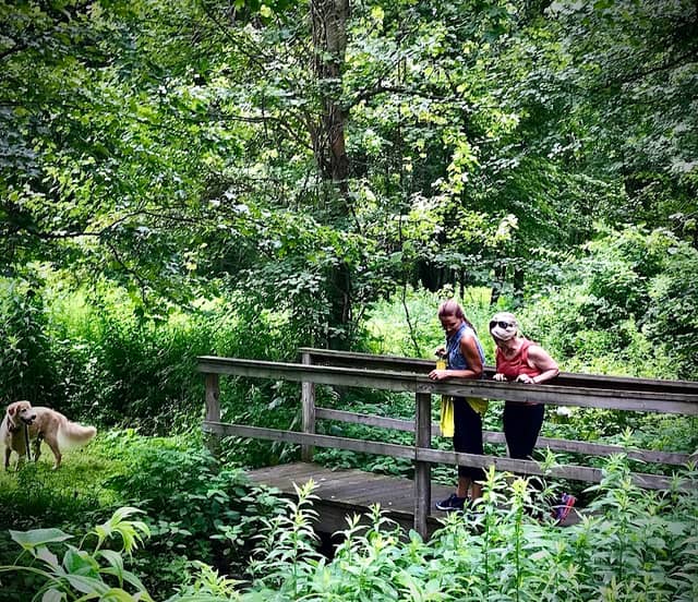 Shelton Land Trust - Image 1