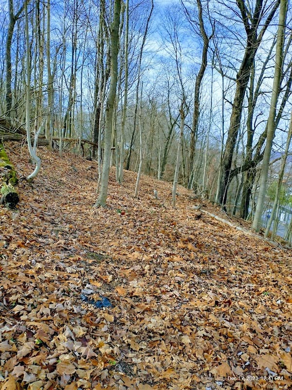 Hill Crest Park - Image 1
