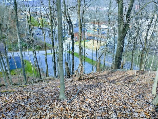 Hill Crest Park - Image 2