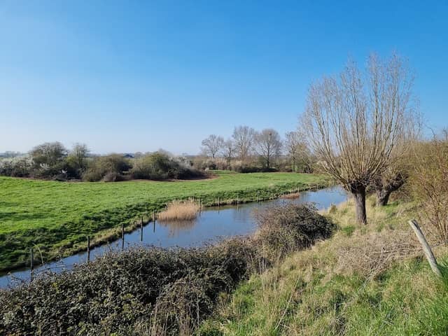 Heggengebied Arnemuiden - Image 1