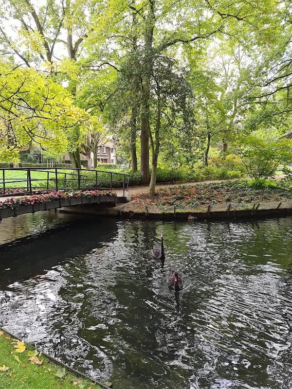 Park Merwestein, Dordrecht - Image 1