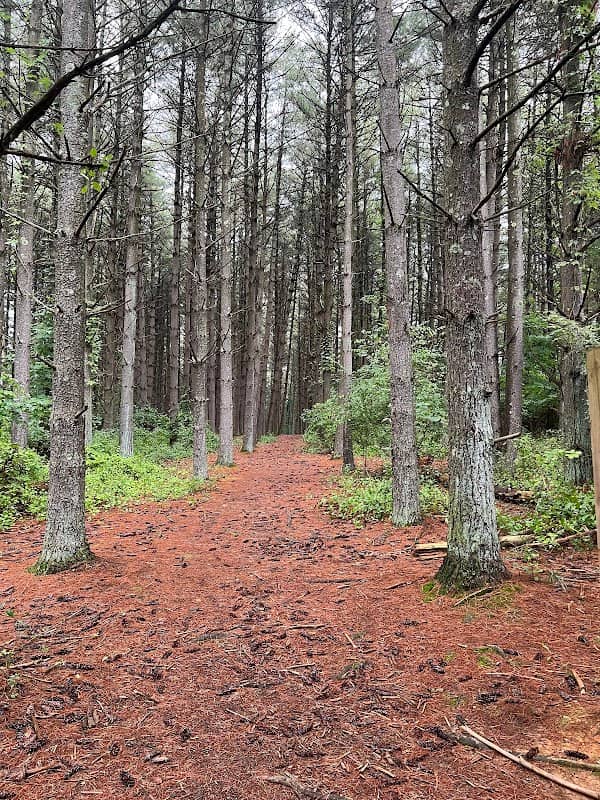 Sugar Hollow Park - Image 1
