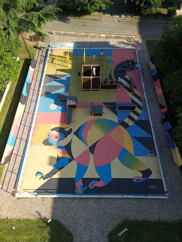 Flow Park - Calisthenics e Parkour - Image 2