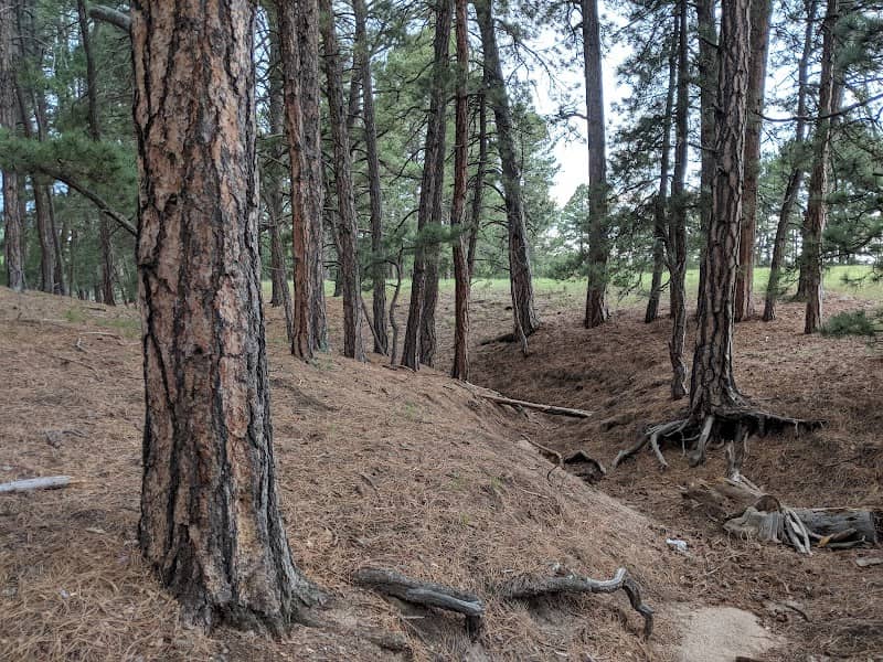 Elizabeth Park & Recreation District - Image 2