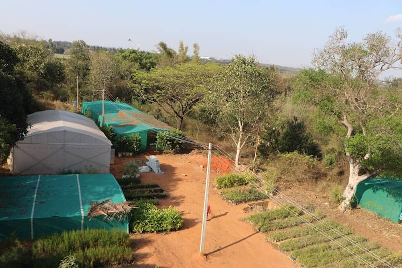 Gottipura Research Forest Iwst field station - Image 1