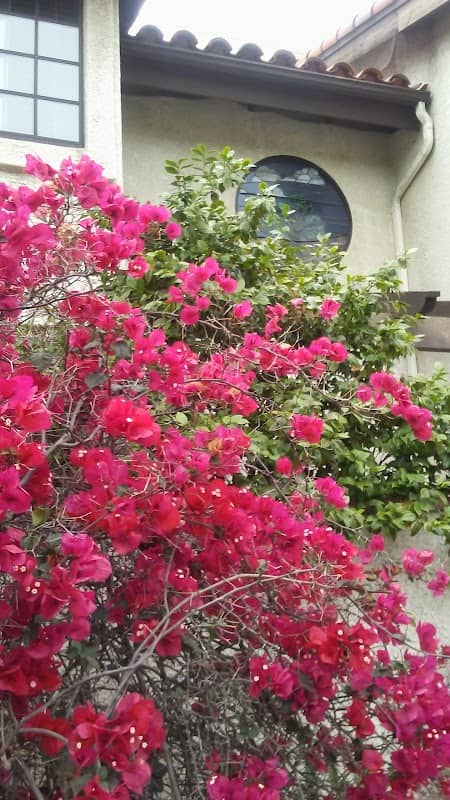 Shaffer Park - Image 2