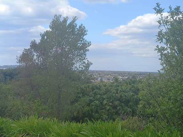 Otatara Hillside Reserve - Image 1