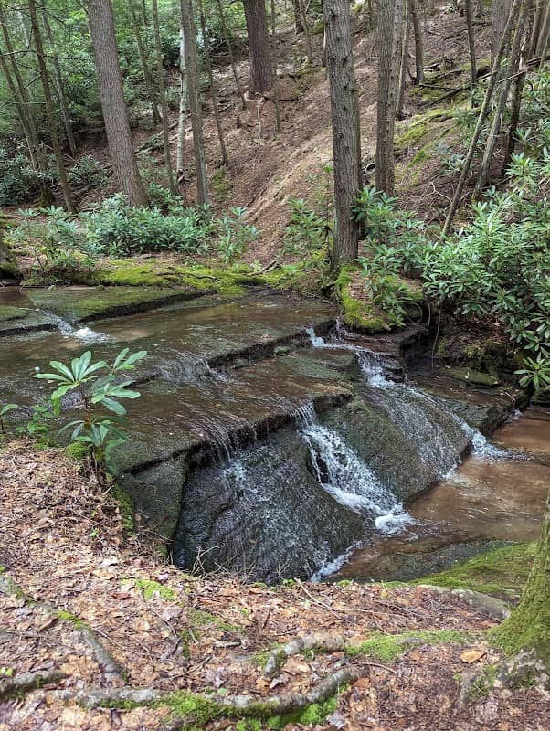 Round Island Run Falls - Image 2