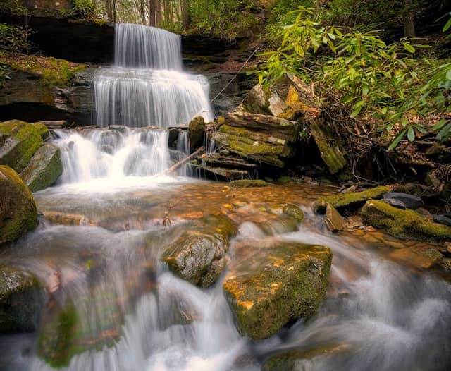 Round Island Run Falls - Image 1