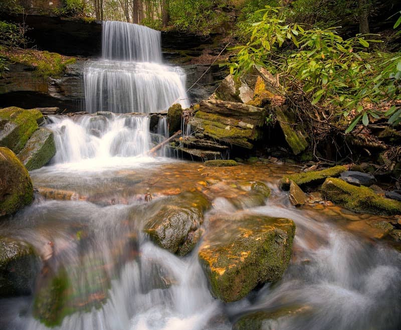 Round Island Run Falls - Image 1
