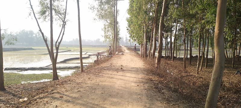 চালাসরাই-কাকড়াজান তিন রাস্তার মোড় - Image 1