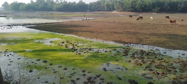 চালাসরাই-কাকড়াজান তিন রাস্তার মোড় - Image 2
