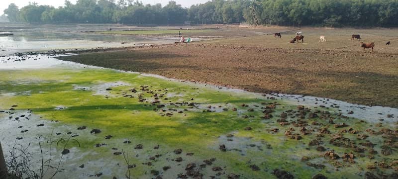 চালাসরাই-কাকড়াজান তিন রাস্তার মোড় - Image 2
