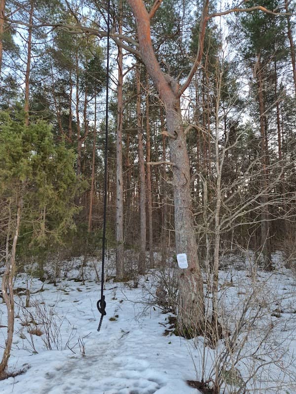 Köis - Image 1
