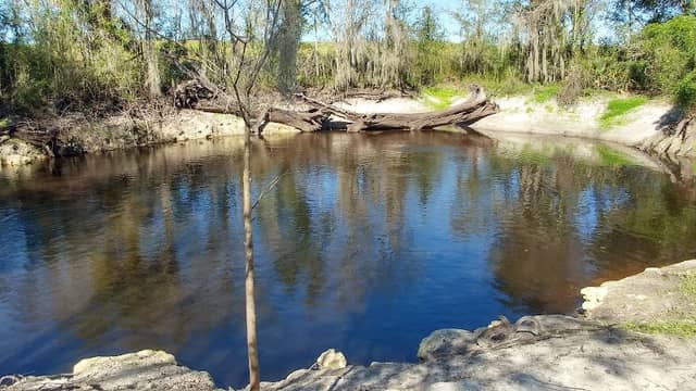 Kissengen Spring - Image 2