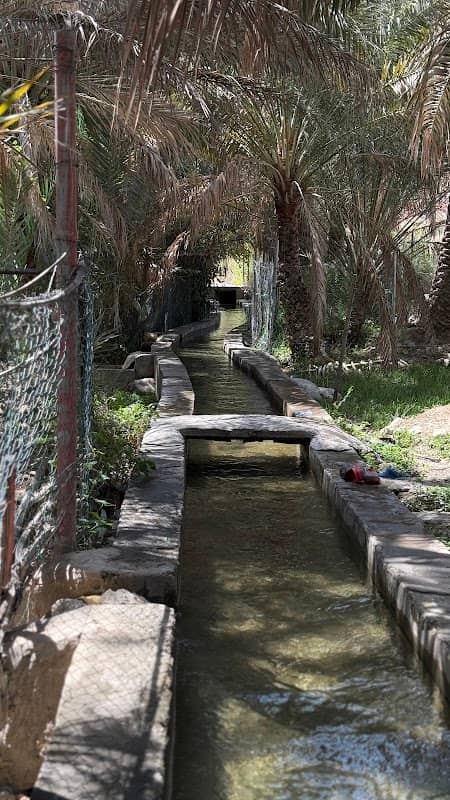 Wadi Dayqah Falaj - Image 3