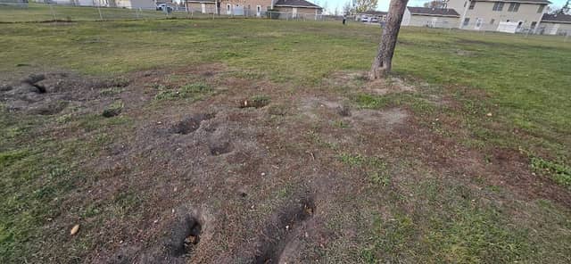 Minot AFB Homes Dog Park - Image 2