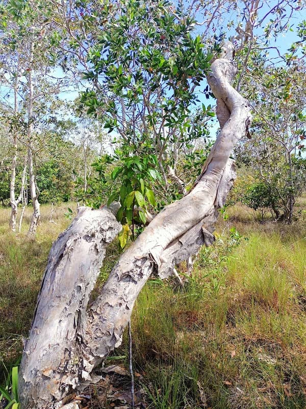 Thung Samet Khao - Image 1