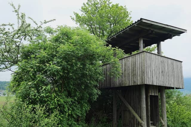 Benken Nature Reserve - Image 1