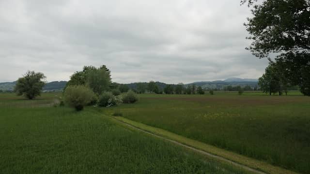 Benken Nature Reserve - Image 2