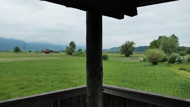 Benken Nature Reserve - Image 3
