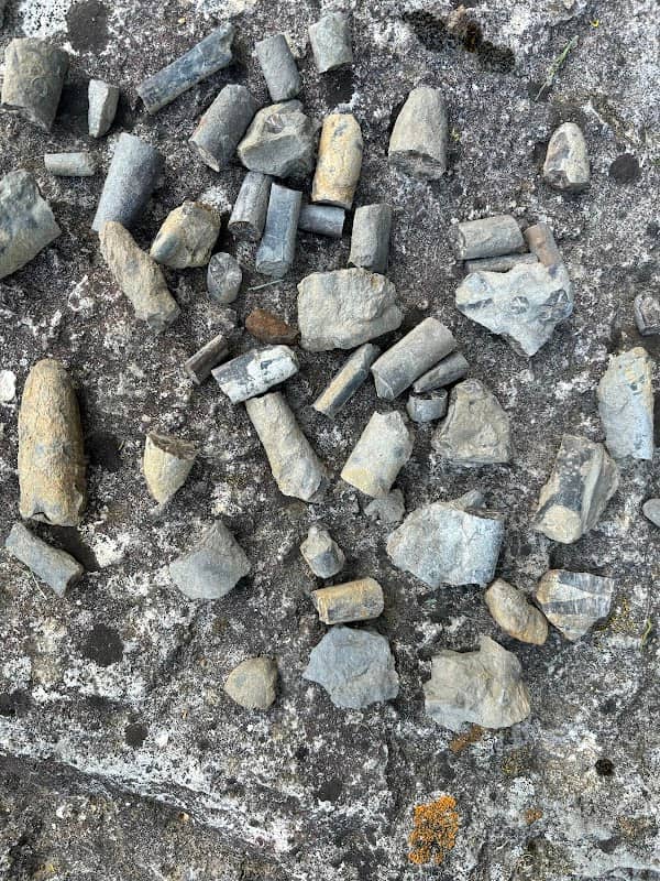 Geotop Tongrube Mistelgau - Image 1