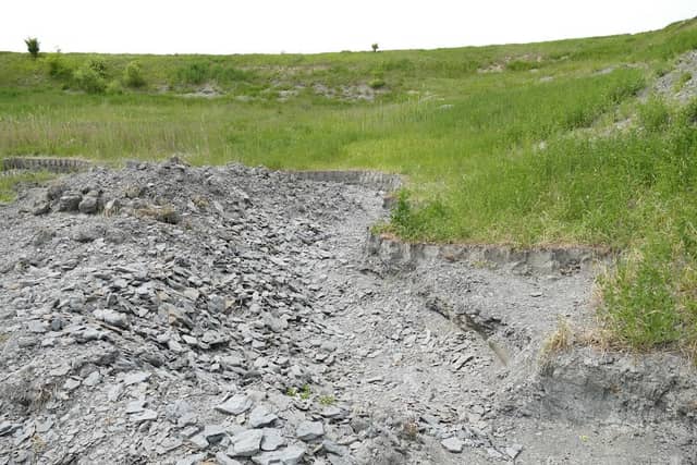 Geotop Tongrube Mistelgau - Image 3