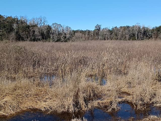 Savannah Wildlife Dr - Image 2
