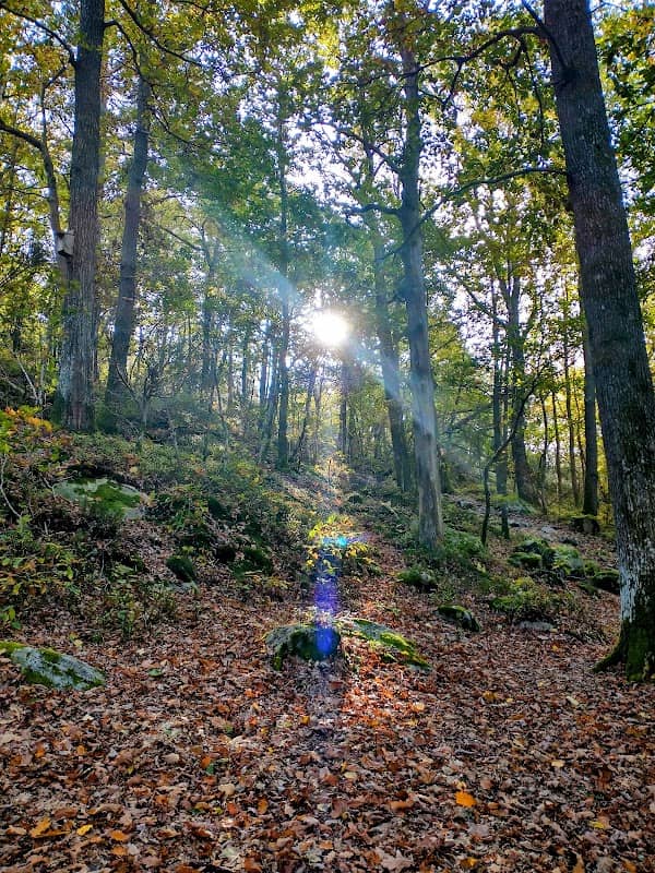 Ekskogens nature playground - Image 1