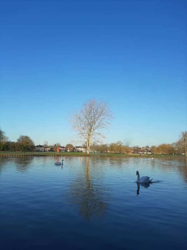 Regatta Meadow - Image 1