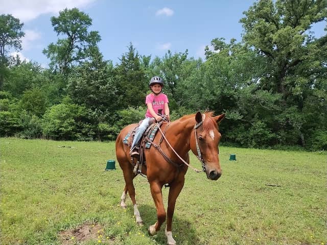 Rising Oaks Horsemanship - Image 2