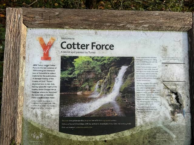 Cotter Force - Image 2