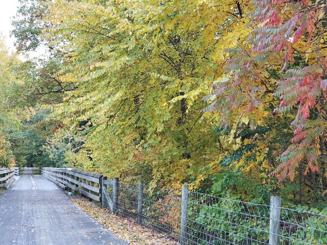 Rock Creek Trestle - Image 2