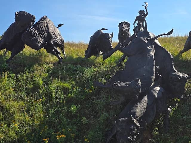 Tatanka Story of Bison - Image 1