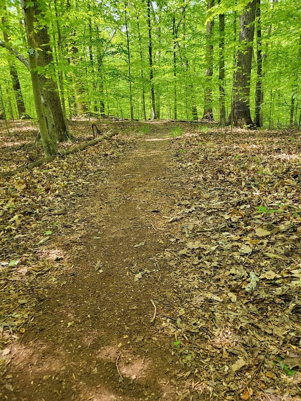 Fernbrook Natural Area - Image 1